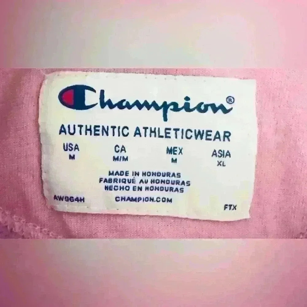 Champion Powerblend Graphic Hoodie, Women’s Size Medium, in color Paper Orchid - Picture 6 of 10